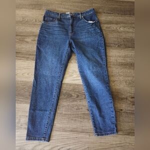 Everlane Women’s Curvy High Rise Skinny Jeans in Medium Blue Denim